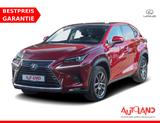 Lexus NX 300h E-Four Executive LED Navi Panorama AHK - Lexus: Nx