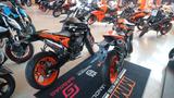KTM 890 Duke GP  **sofort verfügbar** - KTM 890 DUKE