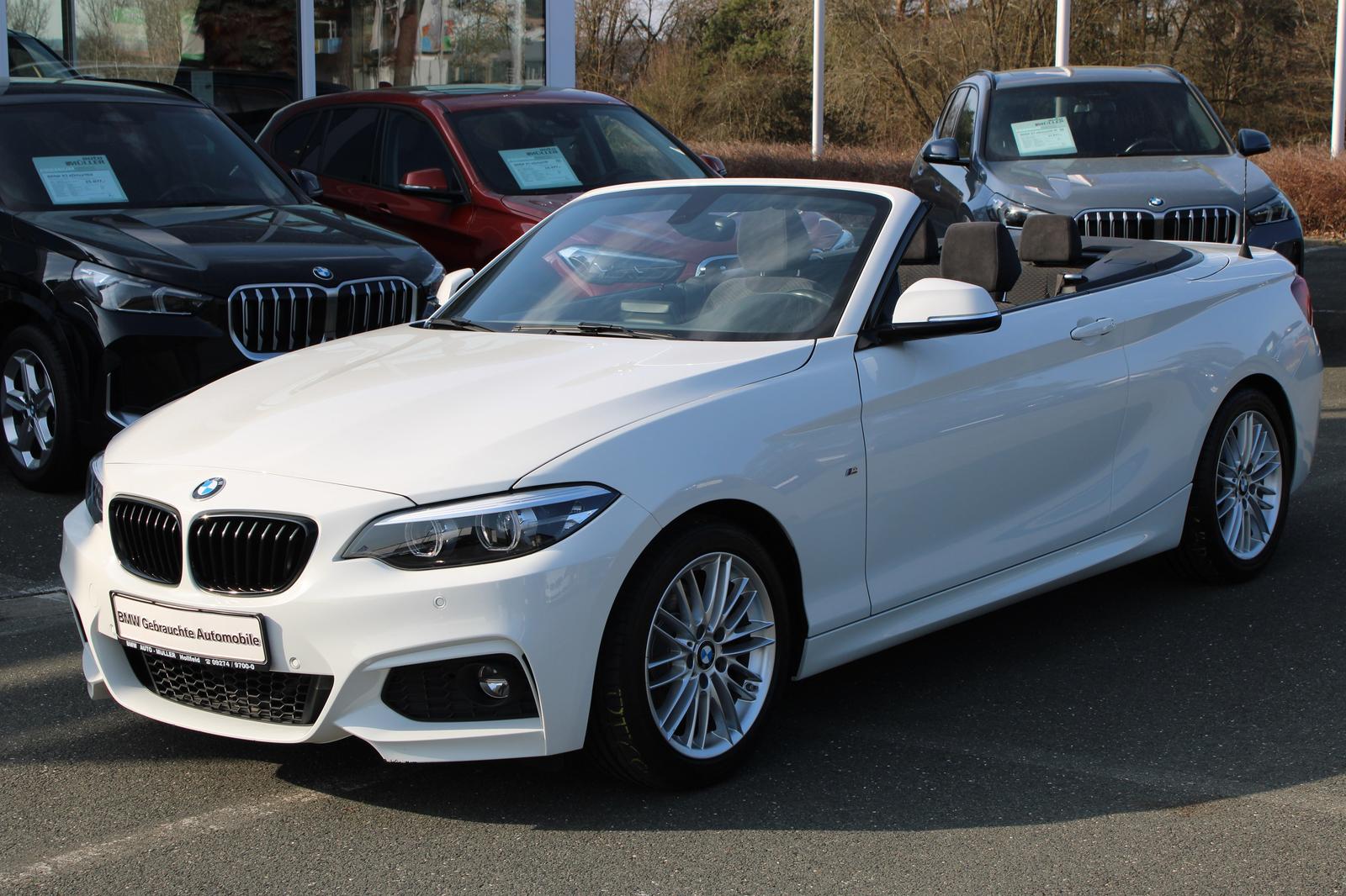 BMW 220i A M Sportpaket Navi Bus. Tempomat USB Shz