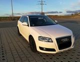 Audi A3 1.6 Ambition Sportback Ambition - Audi A3 aus 2010: Sportback Ambition