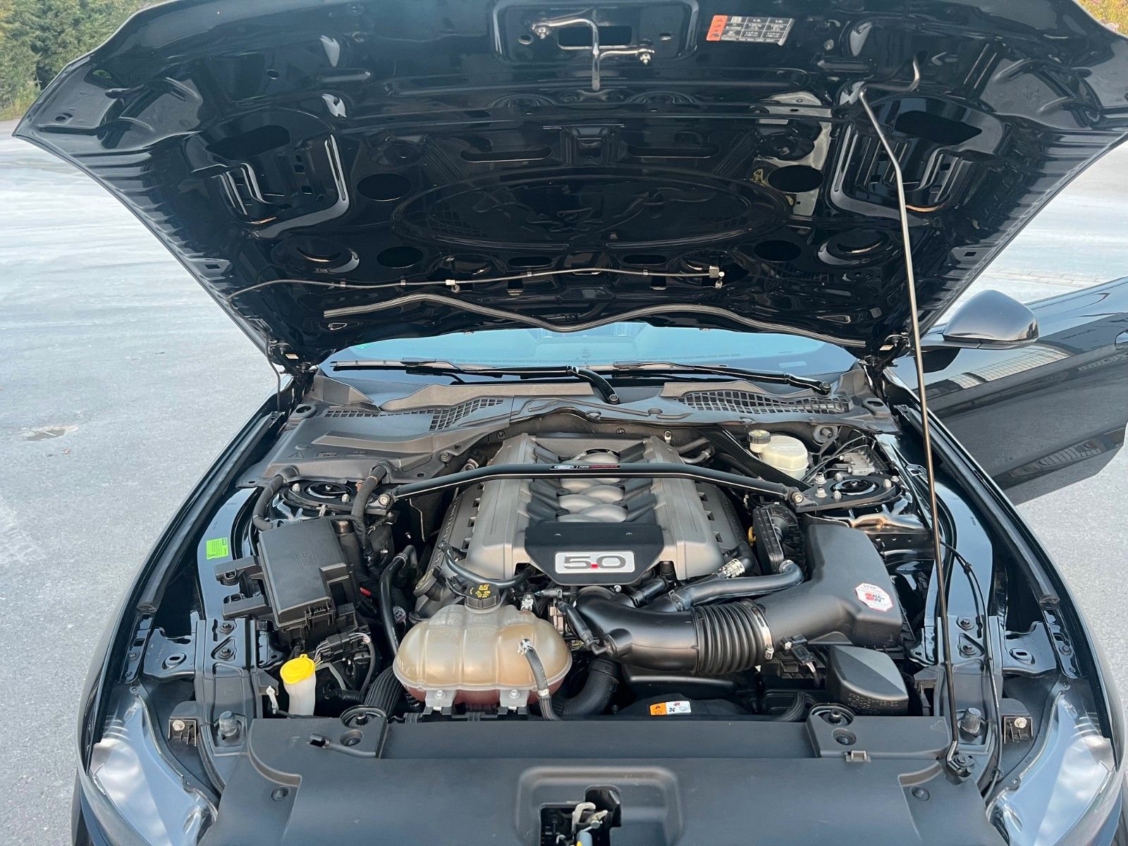 Fahrzeugabbildung Ford Mustang GT Cabrio V8-Neuwertig-20Zoll-FOX-Deutsc