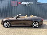 Audi A5 Cabriolet 1.8 TFSI*S Line*19 Zoll* - Audi A5: Braun, Cabrio