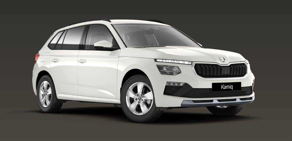 Skoda Kamiq 1.0 TSI Selection Alu Winterpaket Kamera