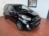 Kia Picanto 1.2 Platinum Edition/1.Hd/Klima - gebrauchte Kia Picanto aus dem Jahr 2016