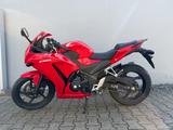 Honda CBR300R - wenig gelaufen & sehr guter Zustand - HONDA 300