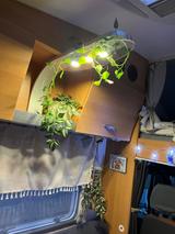 Knaus Sunexpress - Knaus 2011