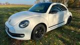 Volkswagen Beetle 1.2 TSI DSG Club+KT+Pano+Navi+BiX+Airplay - VW Beetle Gebrauchtwagen in Berlin