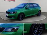Skoda Fabia 1.2 TSI Joy *Pano*DAB*PDC* - Skoda: Grün
