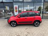 Fiat Panda 1.0 Hybrid CityCross (RED) Sondermodell - Fiat Panda: Red