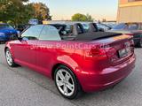 Audi A3 1.6 Cabriolet Ambition*1.HAND-EURO 4-ALU-WR* - Audi A3: Ambition