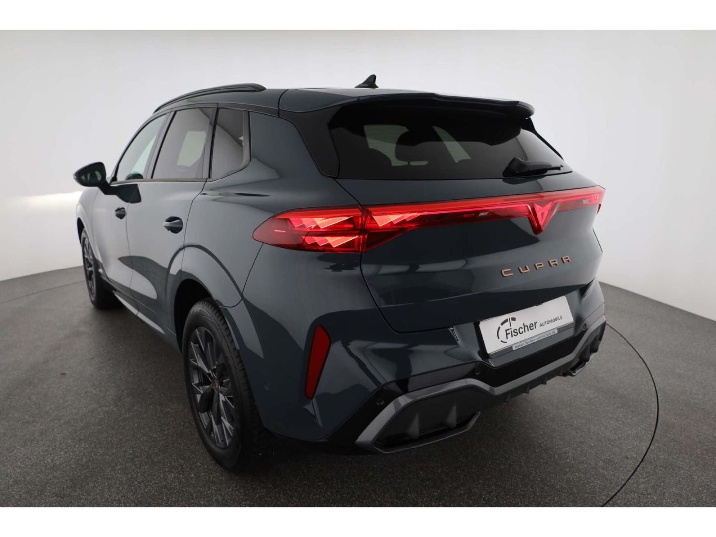Cupra Terramar - Bild 31