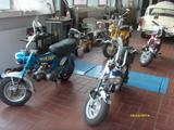 Honda Dax 50 - Offers