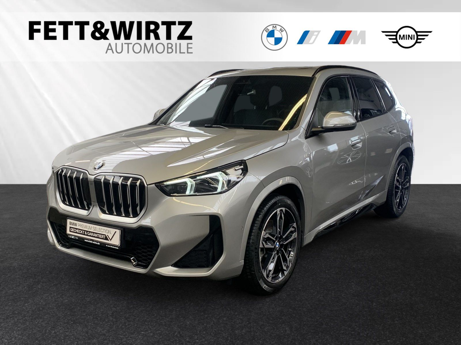 BMW X1 sDrive20i M Sport|Panoramadach|H/K|DA+
