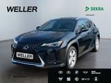 Lexus UX 250h Style Edition *Bi-LED*ACC*CAM*SHZ*CarPla - Lexus Gebrauchtwagen in Augsburg