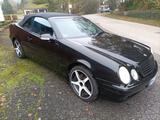 Mercedes-Benz Mercedes Bens CLK 320 Cabrio an Liebhaber - gebrauchte Mercedes-Benz CLK 320 aus dem Jahr 2001