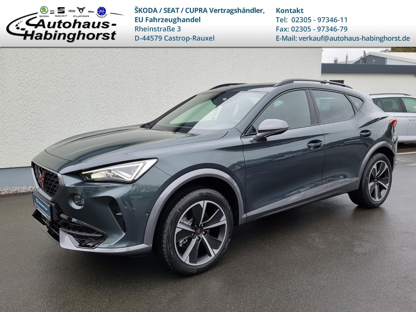 Cupra Formentor 1.5 TSI DSG Pano AHK Navi Beats PDC Ka