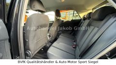VW T-Roc/Sonderausstattung/Neuer Service&TÜV
