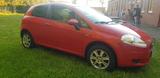 Fiat Punto 1.4 - 2009 - Fiat Punto aus 2009: 1.4