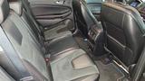 Ford Edge 2,0 l EcoBlue Bi-Turbo 4x4 ST-LINE  - Ford Edge von privat