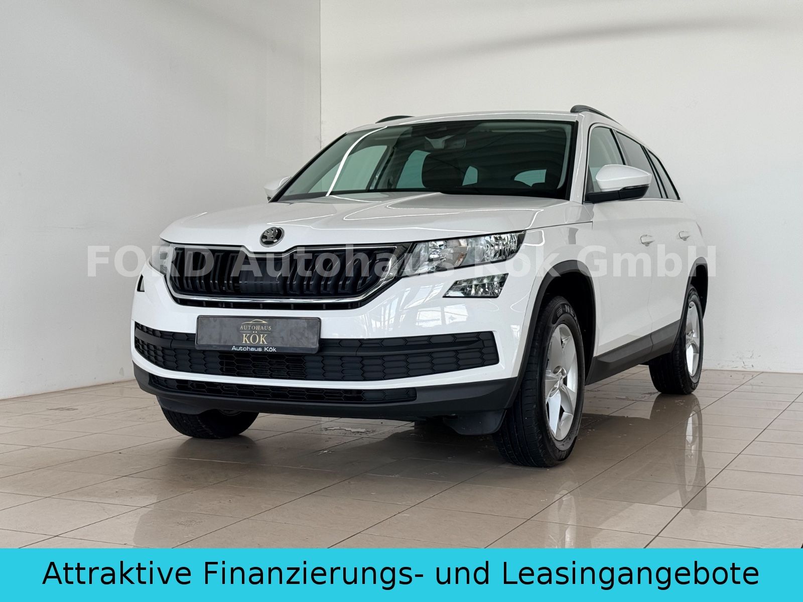 Skoda Skoda Kodiaq Ambition 4x4 DSG AHK RFK Tempomat Car