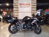 Kawasaki Ninja 1000SX *Seitenkoffer*