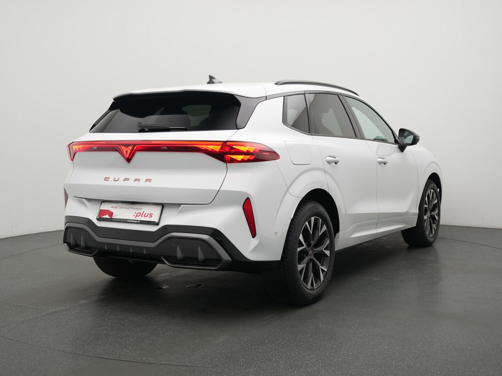 Cupra Terramar - Bild 3