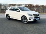 Mercedes-Benz ML 350 CDI BT AMG Line NightVision-ILS-Kamera-E6 - Mercedes-Benz ML 350: Cdi AMG