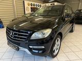 Mercedes-Benz ML350 CDI BlueTec Schiebed. Standhz. Totwinkel - Mercedes-Benz ML 350 Gebrauchtwagen in Berlin