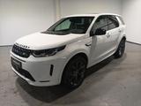 Land Rover Discovery Sport P300e R-D SE AWD|Navi|Pano|AHK - Land Rover Gebrauchtwagen mit Automatikschaltung