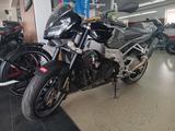 Aprilia Tuono 1000 R Carbon Auspuff - STREETFIGHTER