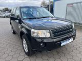 Land Rover Freelander 2 S TD4 - Land Rover Freelander mit Diesel-Antrieb: Geländewagen