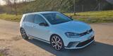 Volkswagen Golf 7 GTI DSG Clubsport VOLLAUSSTATTUNG - Volkswagen Golf: 7 GTI