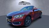 BMW 220i Cabrio Sport Line Aut,Leder,Navi,LCI,LED,SH - gebrauchte Cabrios in Göttingen