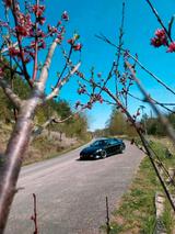 Toyota ToYoTa Mr2 sw20 3sgte - Toyota MR 2: Coupe