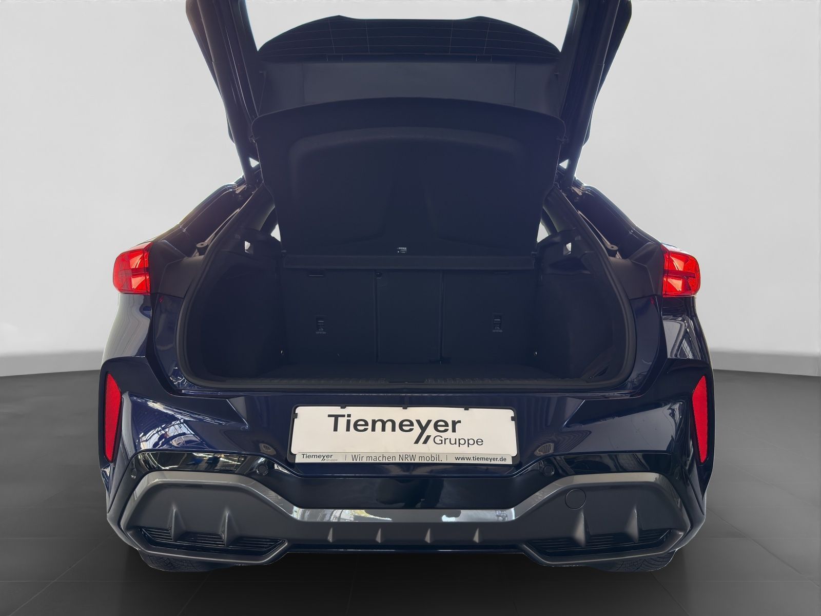 Cupra Terramar - Bild 17