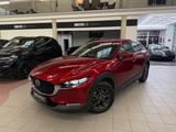 Mazda CX-30 Selection 2WD Design-Paket Kamera BOSE HUD - gebrauchte Mazda CX-3 aus dem Jahr 2019