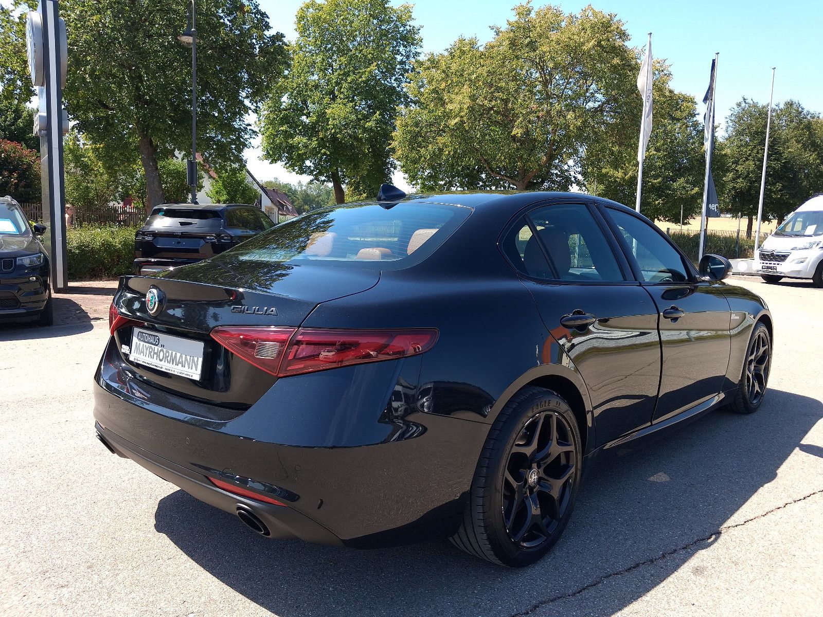 Fahrzeugabbildung Alfa Romeo Giulia B-Tech