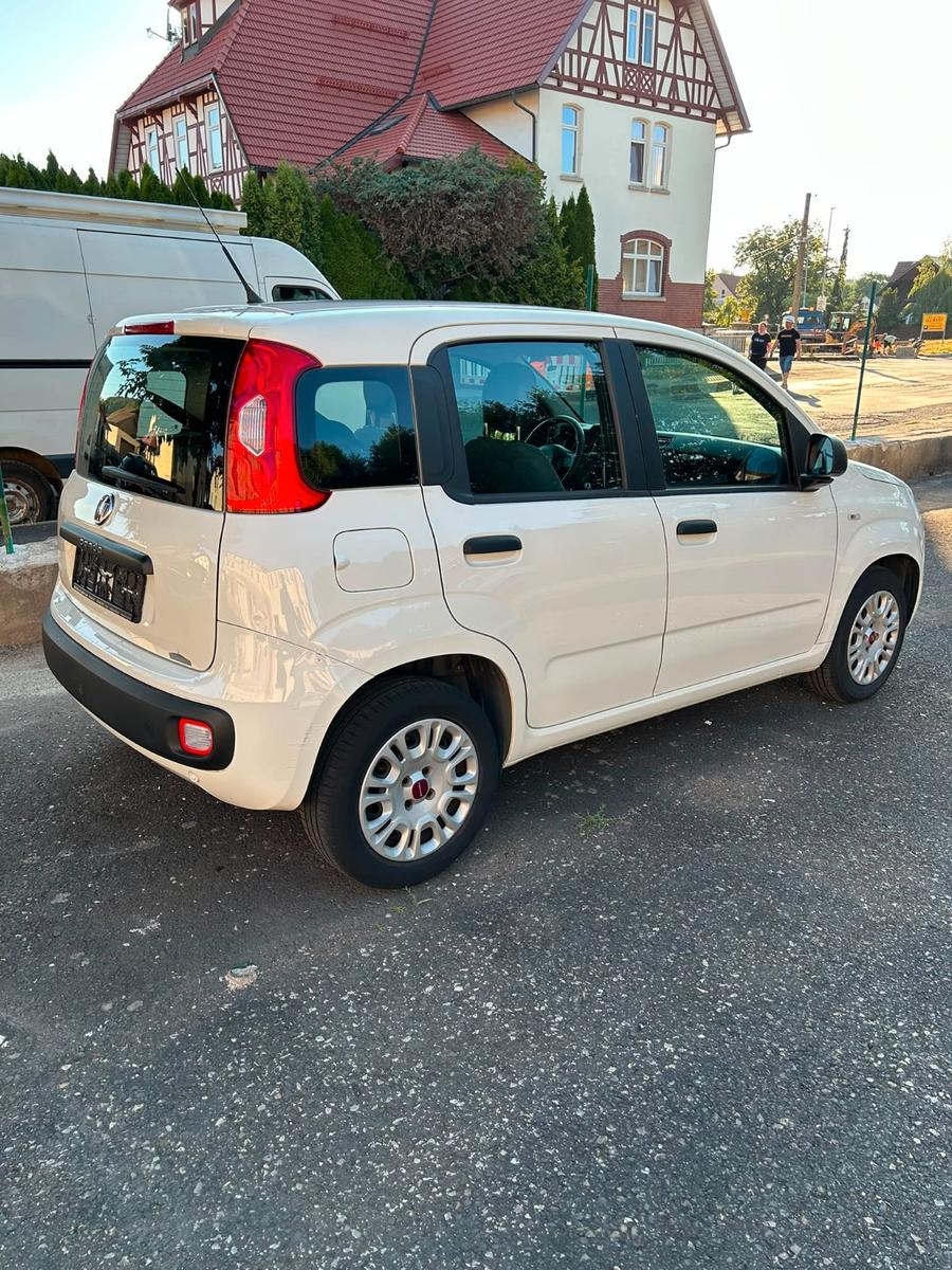 Fiat Panda Easy - Klima - 1 Hand - TÜV neu