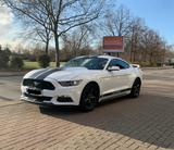 Ford Mustang 3.7 V6 Automatik, 2017, nur 75.500k - Ford Mustang in Mannheim