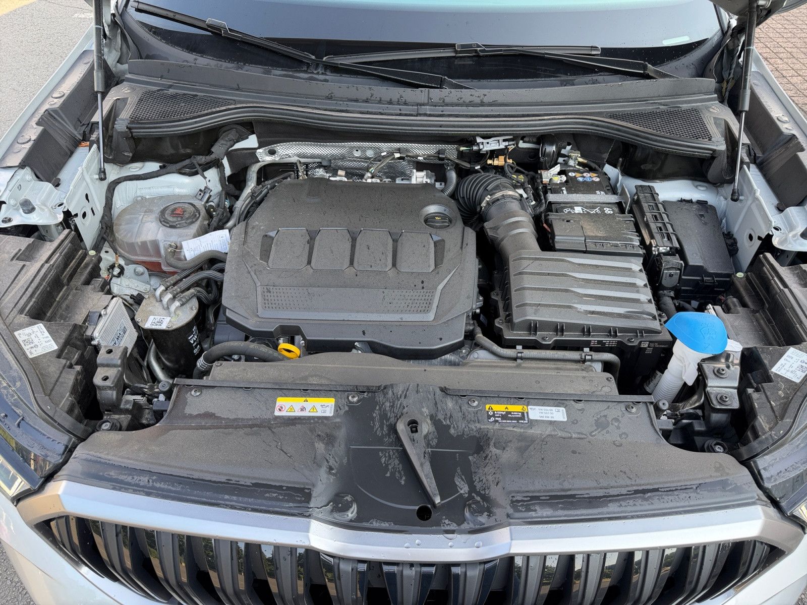Kodiaq 2,0 TDI 4x4 Leder AHK Canton Matrix ACC