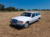 Mercedes-Benz Mercedes W124 300TD Kombi, Klimaanlage, 5 ... - gebrauchte Mercedes-Benz 300 aus dem Jahr 1988