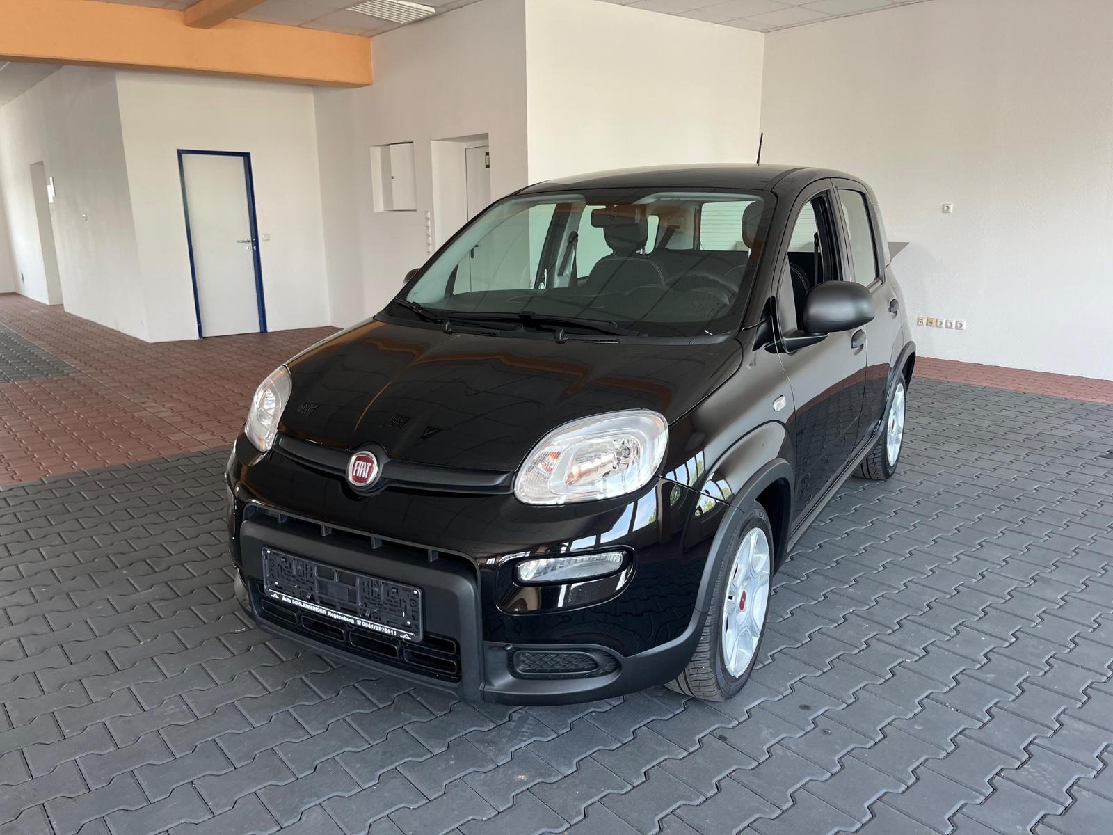 Fiat Panda Base