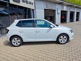 Skoda Fabia Style 110PS SHZ+PANO+PDC+ALU+KLIMA+TÜV+NEU - Skoda Fabia mit Panoramadach
