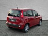Fiat Panda Pandina POP Hybrid #KLIMA #PARKSENSOREN - Fiat Panda POP mit Hybrid-Antrieb (Benzin/Elektro)