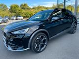 Cupra Formentor 2,0TSi VZ 4x4 360° Leder Beats Pano 19 - Cupra Formentor: Schwarz