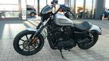 Harley-Davidson Sportster Iron 1200 / 5HD1 - Harley-Davidson Iron 1200