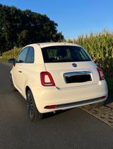 Fiat 500 - BEATS - LEDER - TOPGEPFLEGT - Fiat 500: Leder