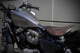 Harley-Davidson SPORTSTER 48 Chrom Flake XL1200X - HOT 1.Hd - HARLEY-DAVIDSON SPORTSTER XL 1200 C