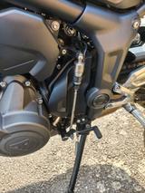 Triumph Trident 660 incl. Heckumbau & viel Zubehör - TRIUMPH TRIDENT