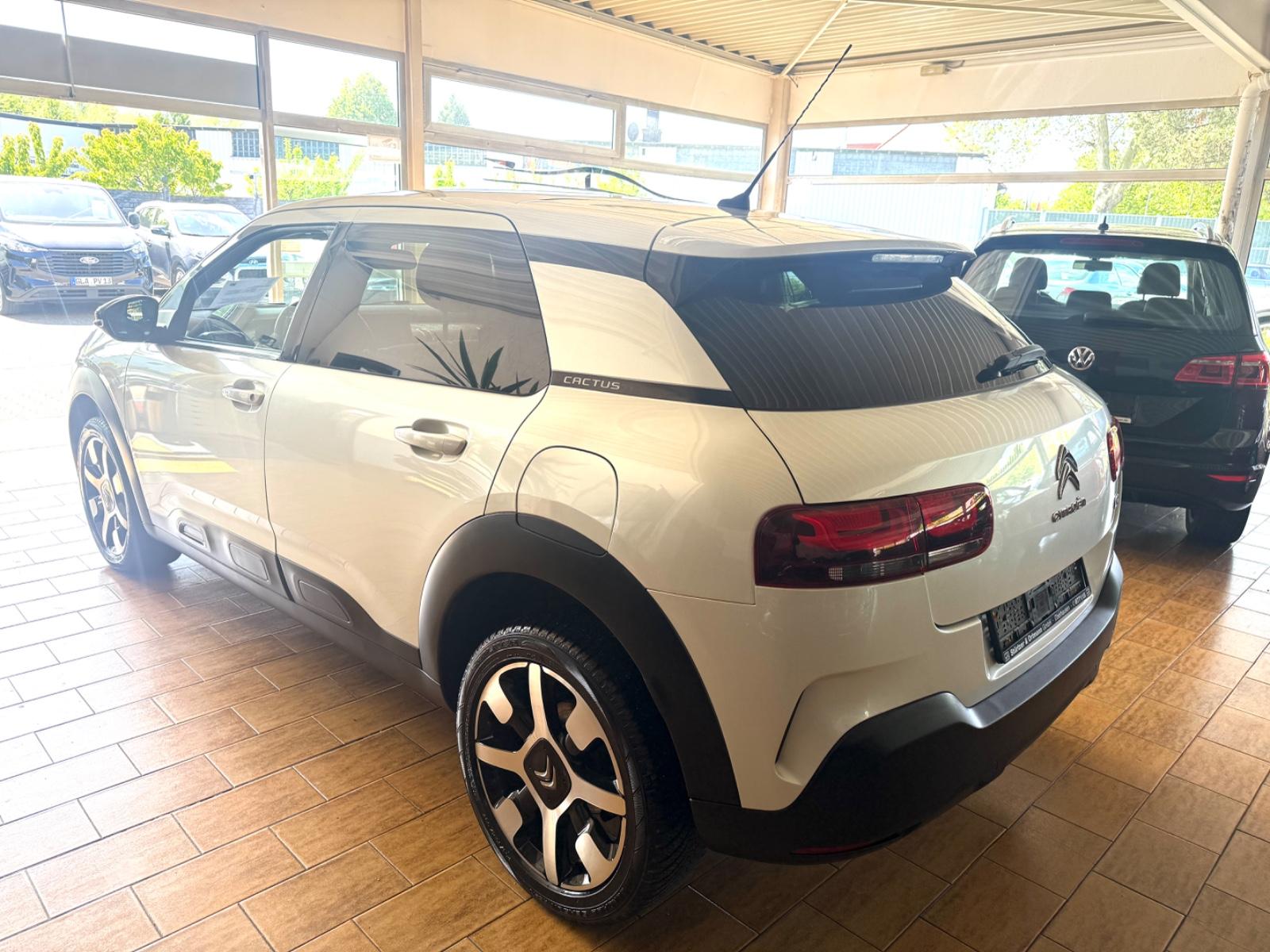 Citroën C4  CACTUS